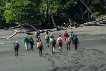 Viaje a Costa Rica. A medida Nomads. Huellas aborígenes y el exuberante Corcovado